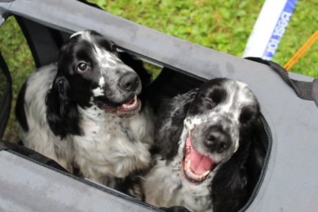 237608262_4373728542650079_6532741908962353784_n